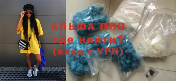 ECSTASY Горняк