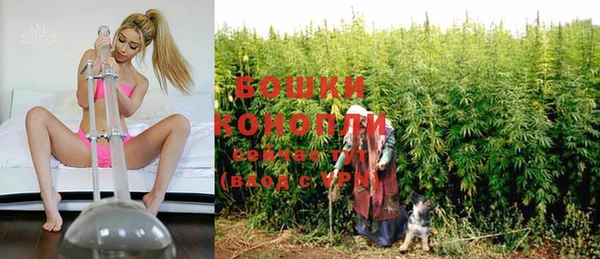 ECSTASY Горняк