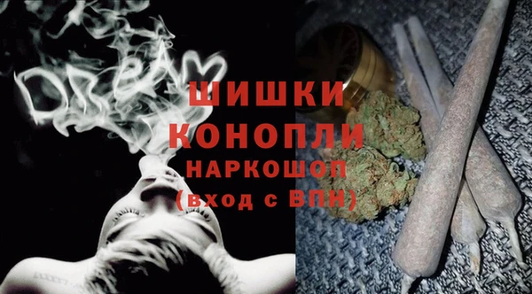 СК Горнозаводск