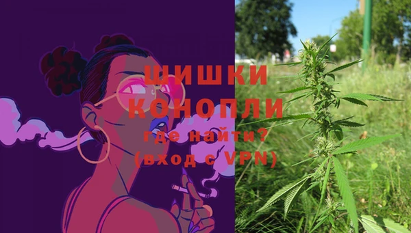 ECSTASY Горняк